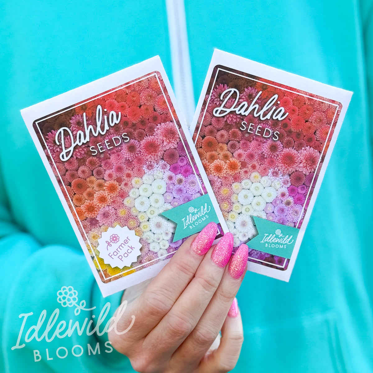 kat dahlia seeds Farmer Pack Dahlia Seeds