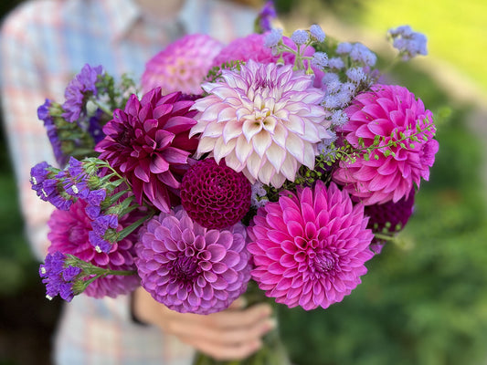 Our Free Market Dahlia Commitment