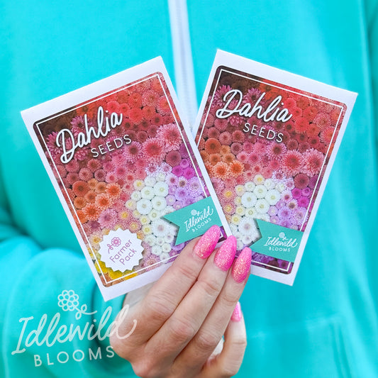 Farmer Pack Dahlia Seeds, seeds from dahlias, seeds to grow dahlias