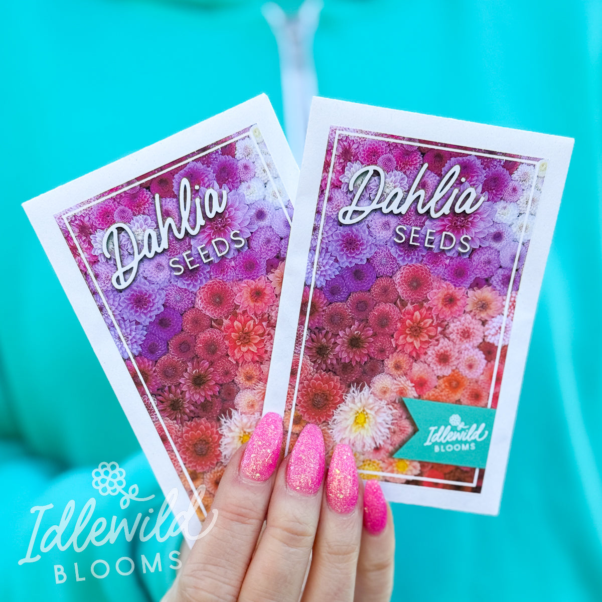 Dahlia Seeds, Dahlia Seed packet, packet of dahlia seeds