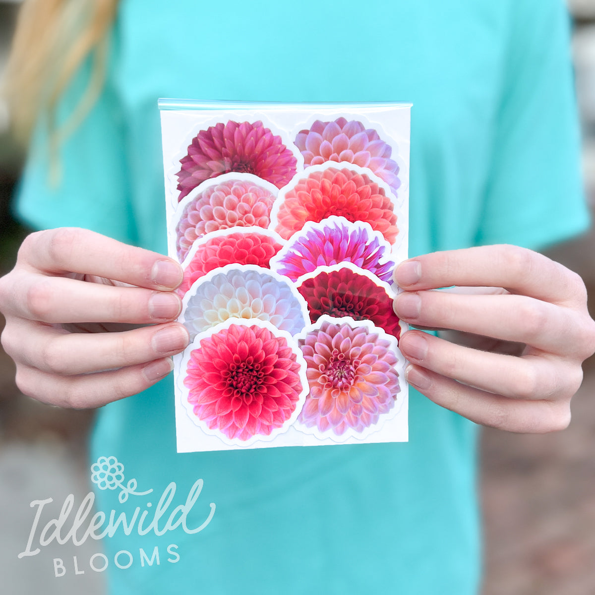 dahlia stickers, dahlia sticker pack