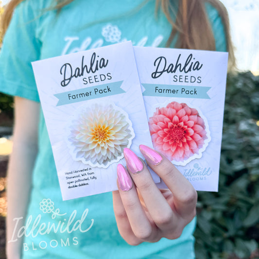 Farmer Pack Dahlia Seeds - SHIP NOW